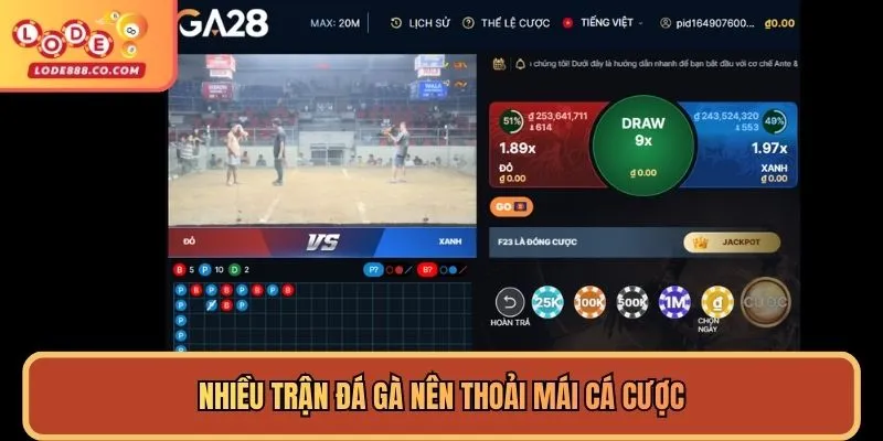 Trên sảnh liên tục có trận đá gà mới để cược